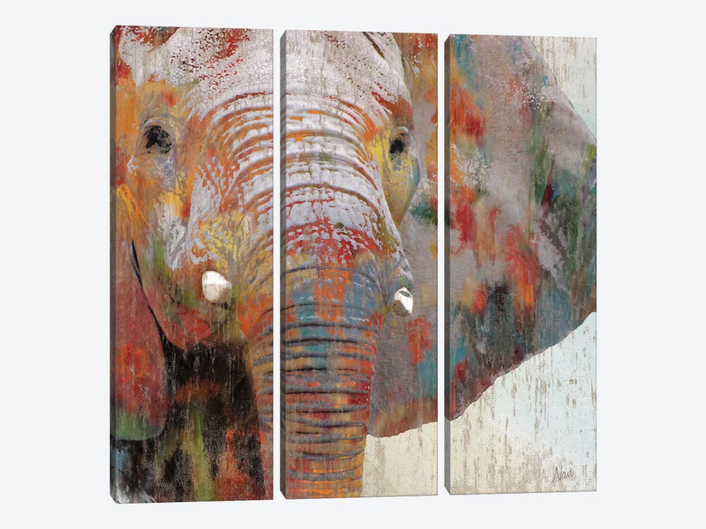 Paint Splash Elephant by Nan 3-piece Art Print