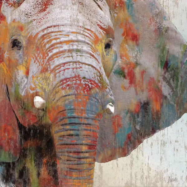 Animal Lover: Paint Splash Elephant by Nan