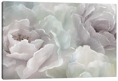 Peony Lace Canvas Art Print - Country Décor