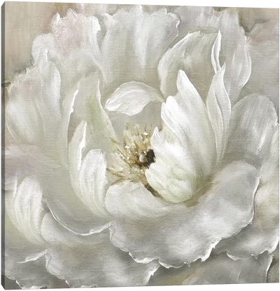 Perfect Peony Canvas Art Print - Country Décor