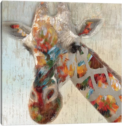 Paint Splash Giraffe Canvas Art Print - Nan