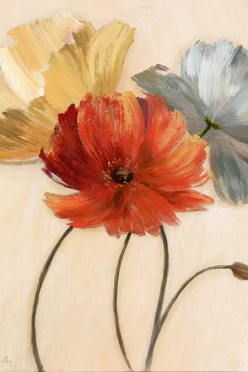 Poppy Palette I by Nan wall art