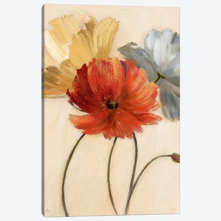 Poppy Palette I Canvas Print #NAN490} by Nan Canvas Print