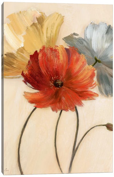 Poppy Palette I Canvas Art Print - Poppy Art