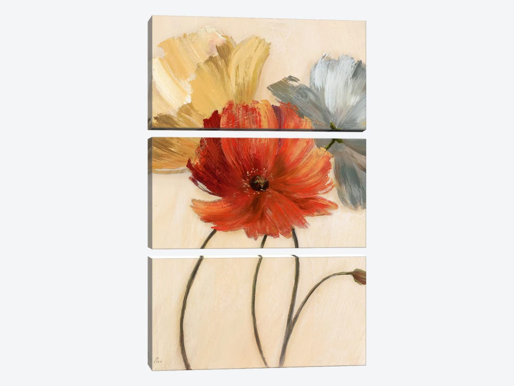 Poppy Palette I by Nan 3-piece Canvas Art