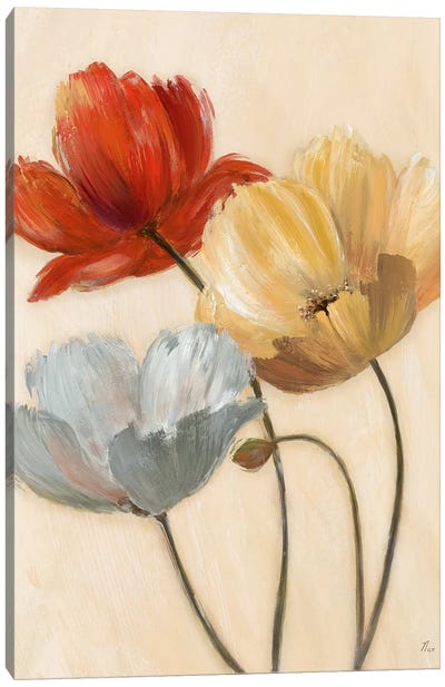 Poppy Palette II Canvas Art Print - Best Selling Floral Art