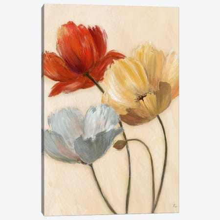 Poppy Palette II Canvas Print #NAN491} by Nan Canvas Art Print