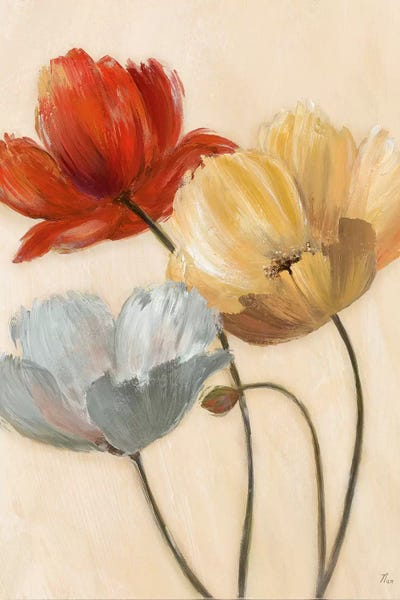 Rustic Décor: Poppy Palette II by Nan