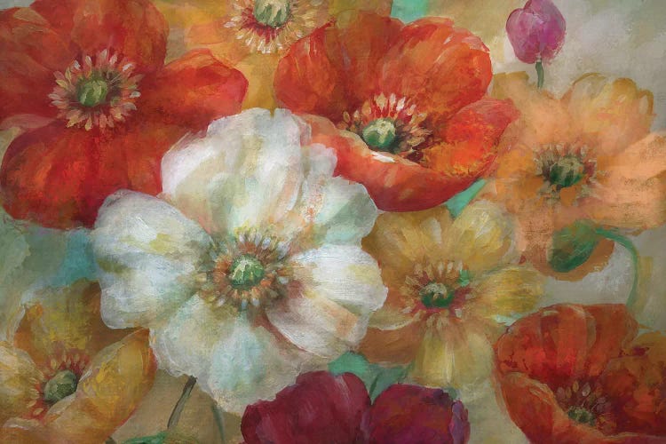 Poppycentric by Nan wall art