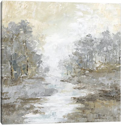 Babbling Brook I Canvas Art Print - Neutrals