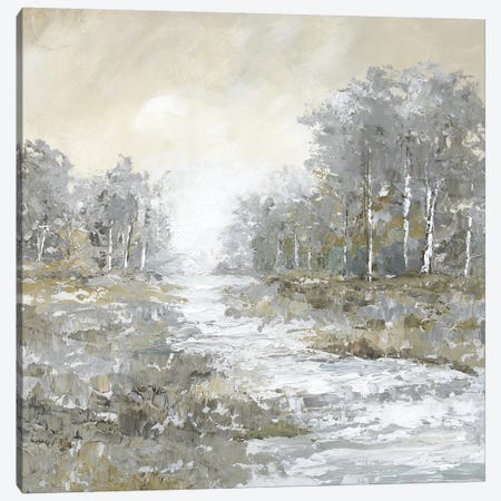 Babbling Brook II Canvas Print #NAN500} by Nan Art Print