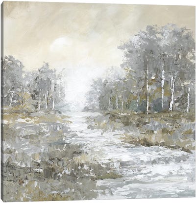 Babbling Brook II Canvas Art Print - Nan