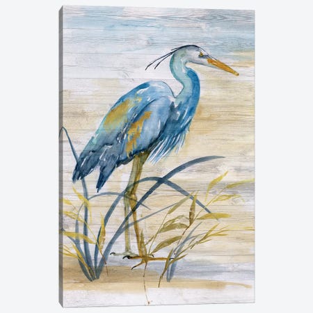 Blue Heron I Canvas Print #NAN502} by Nan Art Print