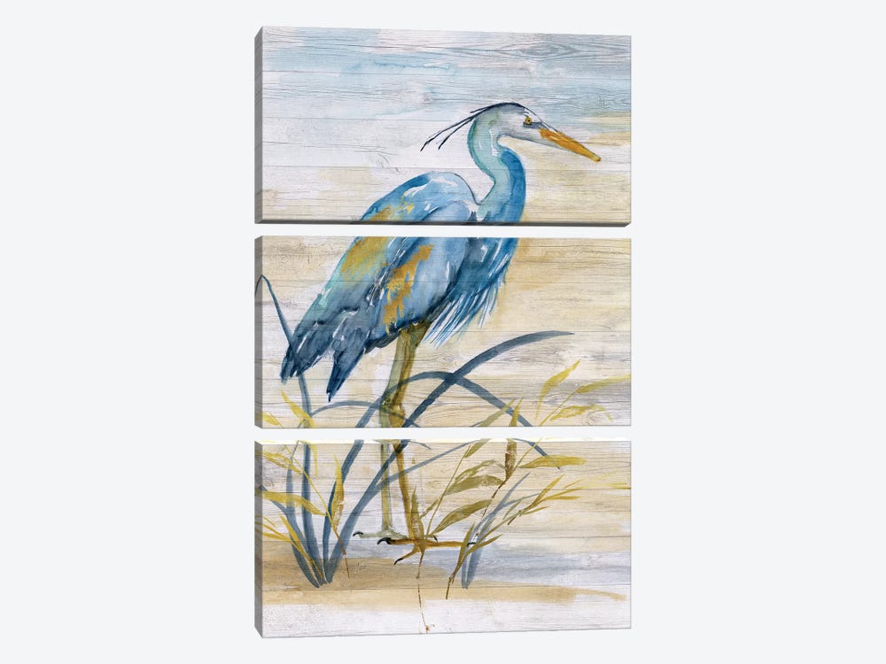 Blue Heron I by Nan 3-piece Canvas Wall Art