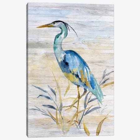 Blue Heron II Canvas Print #NAN503} by Nan Canvas Print