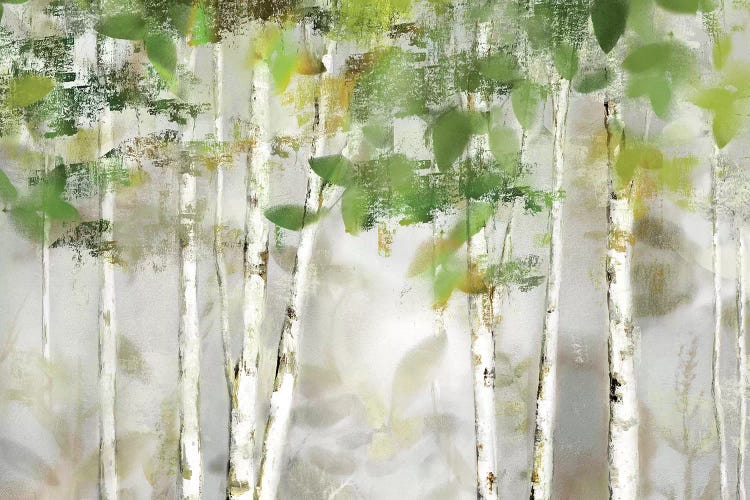 Evergreen Forest by Nan wall art