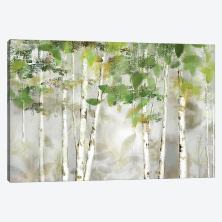 Evergreen Forest Canvas Print #NAN511} by Nan Canvas Artwork