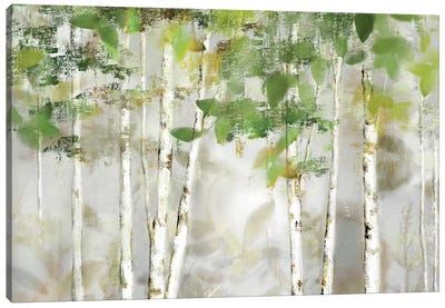 Evergreen Forest Canvas Art Print - Nan