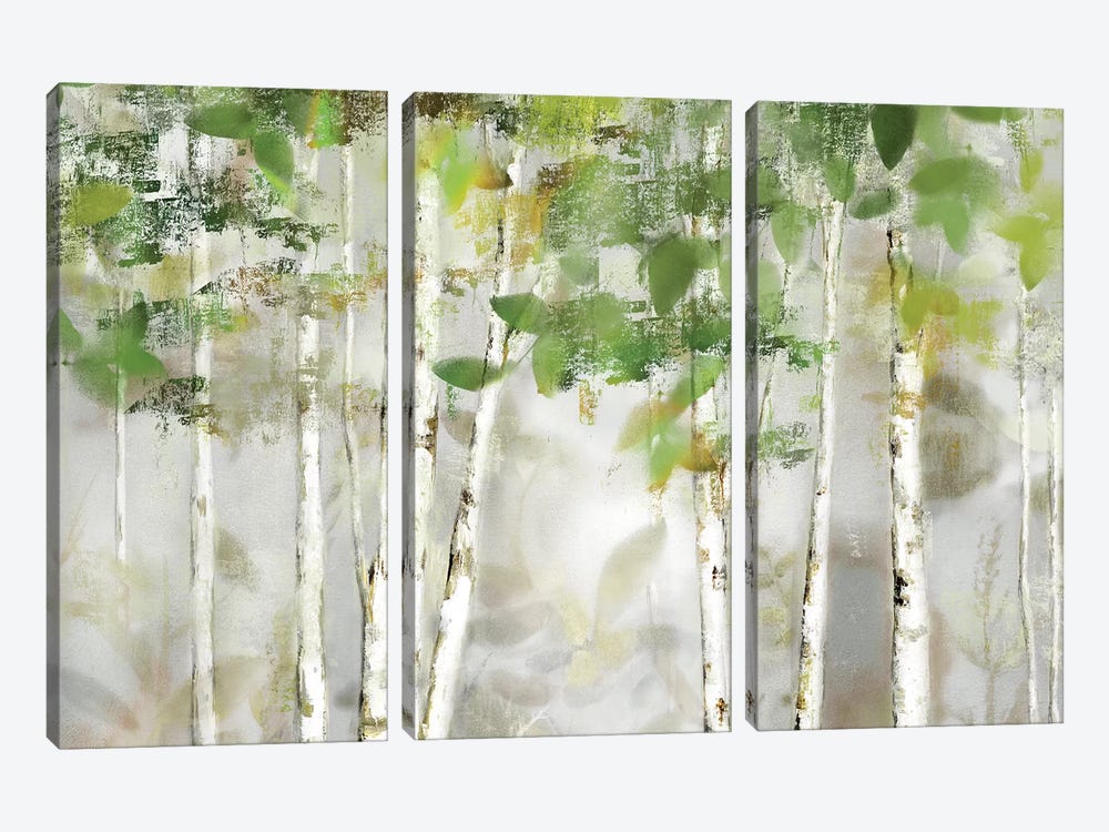 Evergreen Forest by Nan 3-piece Canvas Art