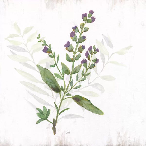 Modern Farmhouse Décor: Kitchen Garden II by Nan