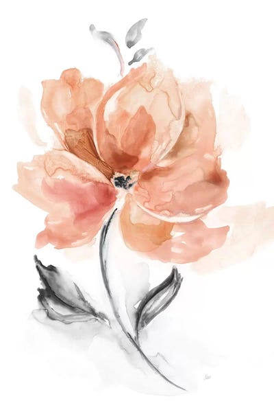 Soft Sensation I by Nan art print