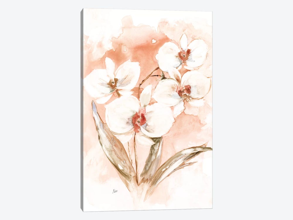 White and Coral Orchid I by Nan 1-piece Canvas Art Print