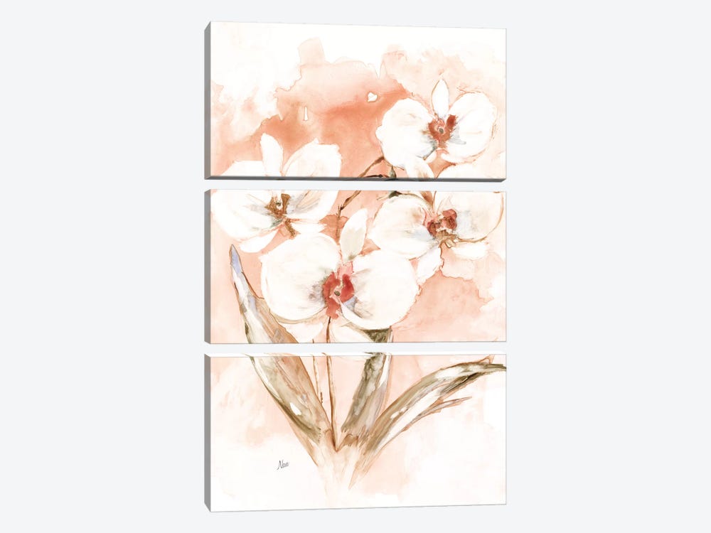 White and Coral Orchid I by Nan 3-piece Canvas Art Print