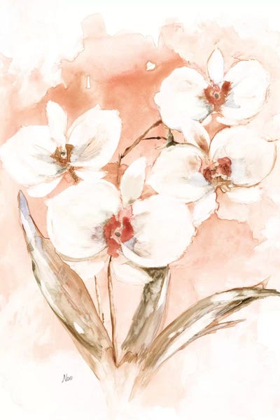 White and Coral Orchid I