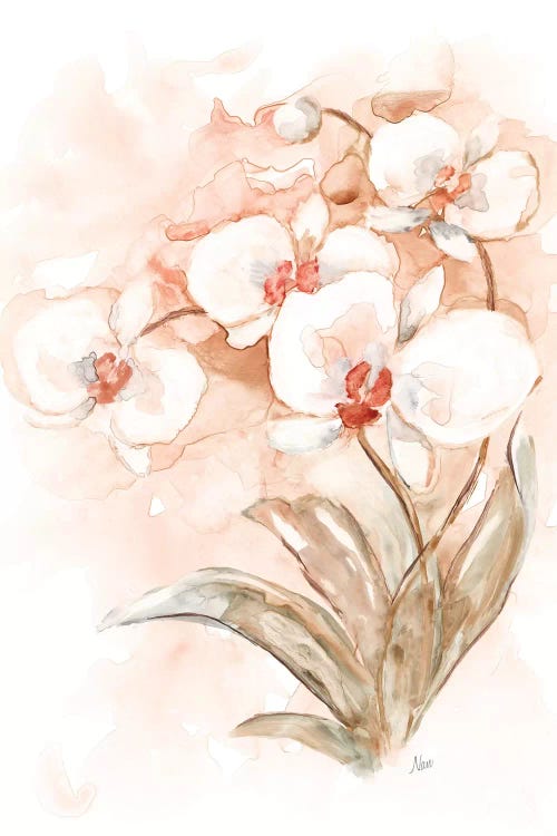 White and Coral Orchid II