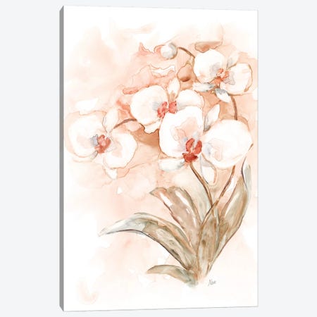 White and Coral Orchid II Canvas Print #NAN528} by Nan Art Print