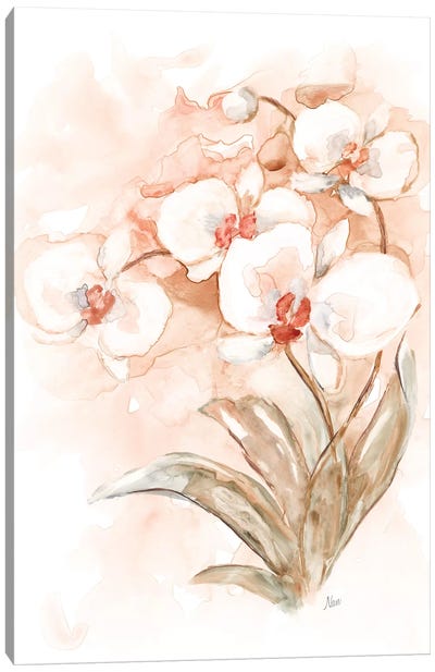 White and Coral Orchid II Canvas Art Print - Orchid Art