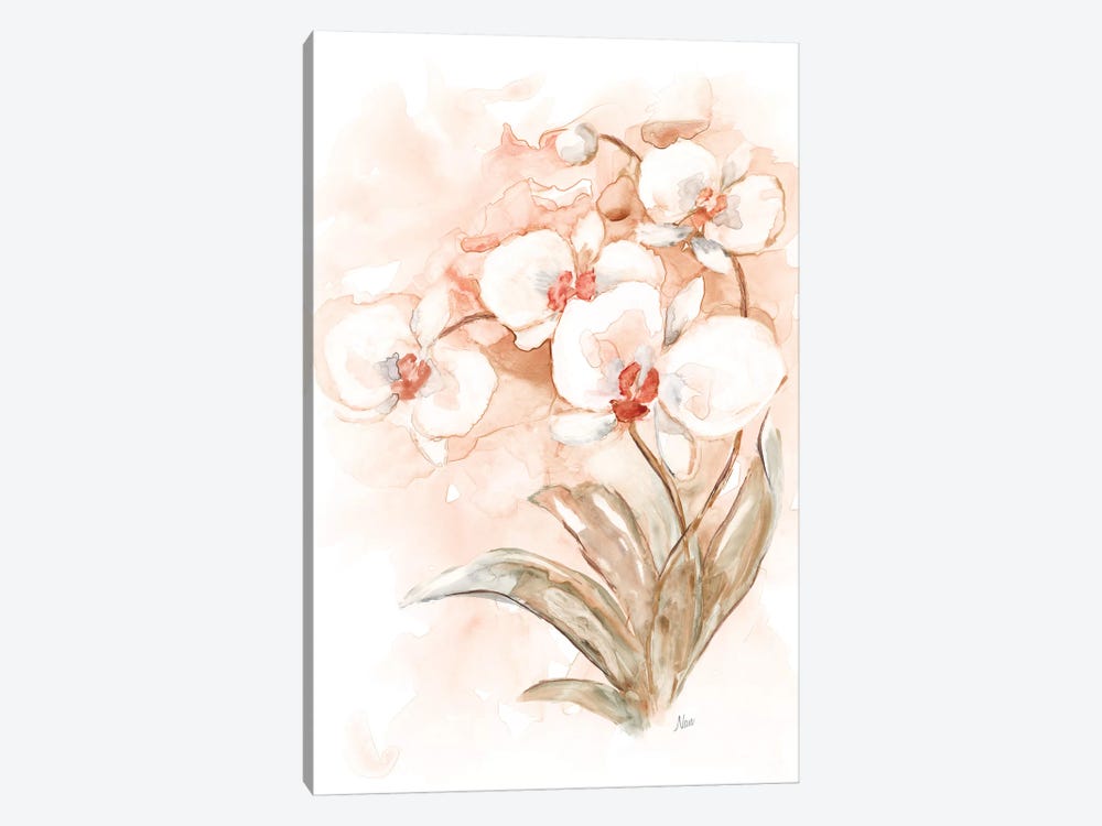 White and Coral Orchid II by Nan 1-piece Canvas Art