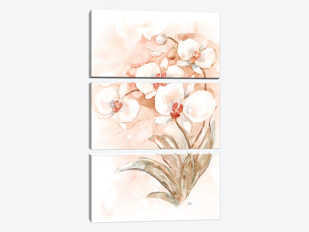 White and Coral Orchid II by Nan 3-piece Canvas Art