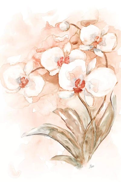 Nan: White and Coral Orchid II by Nan
