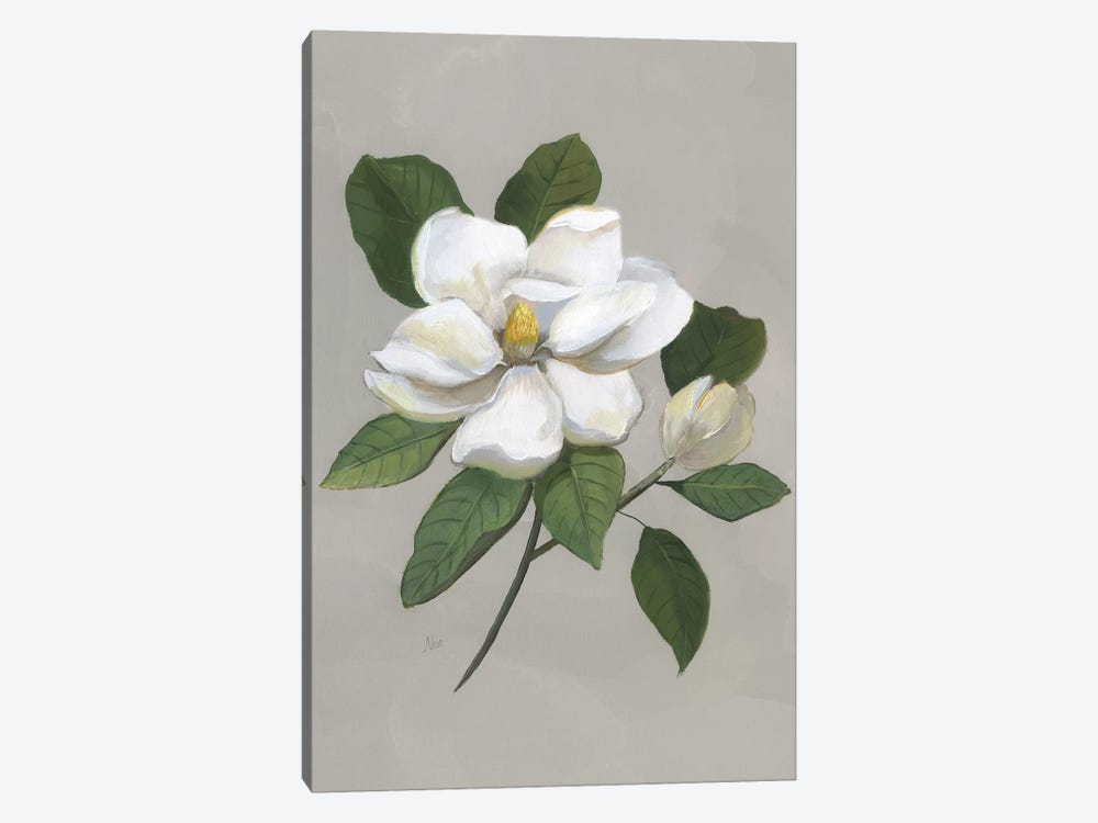 Botanical Magnolia by Nan 1-piece Canvas Print