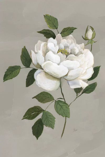 Nan: Botanical Rose by Nan