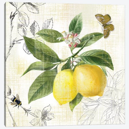 Linen Lemons I Canvas Print #NAN544} by Nan Canvas Wall Art