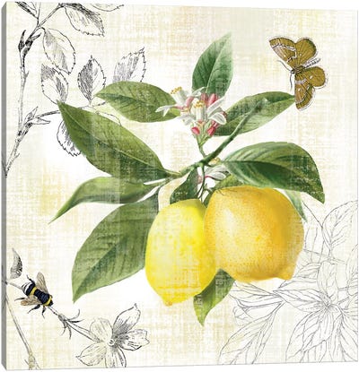 Linen Lemons I Canvas Art Print - Fruit Art