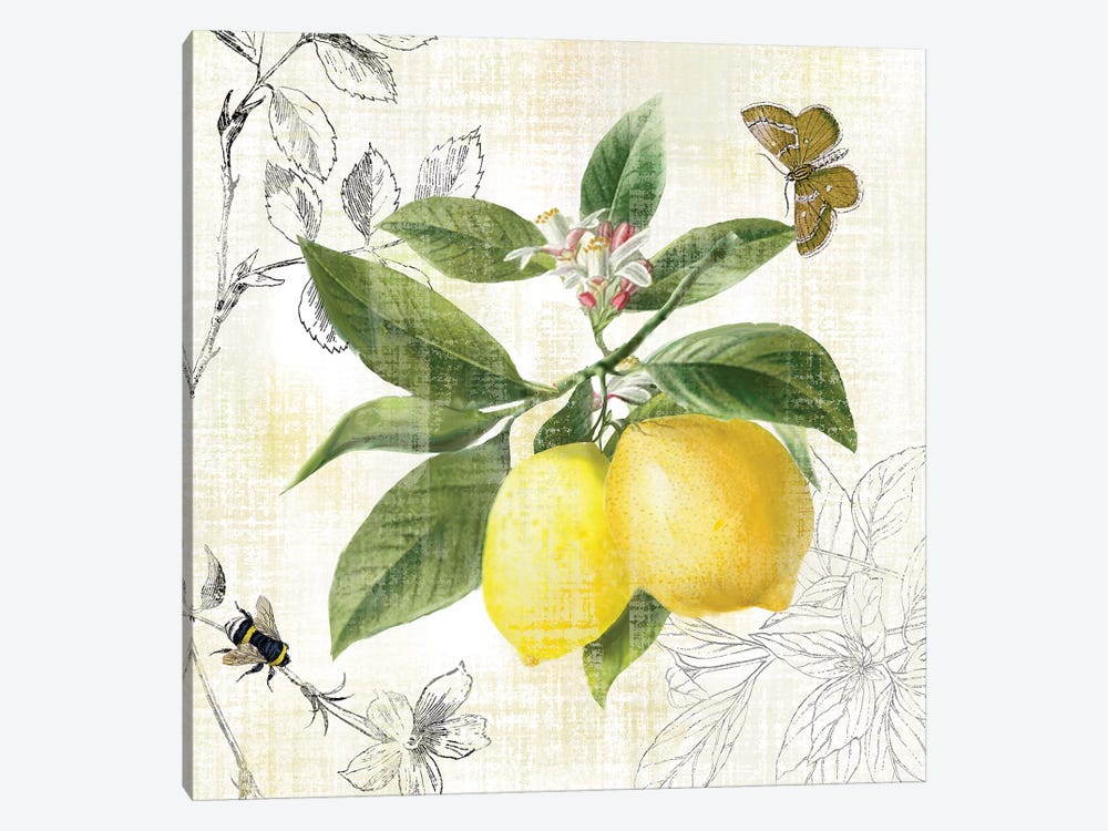 Linen Lemons I by Nan 1-piece Canvas Artwork