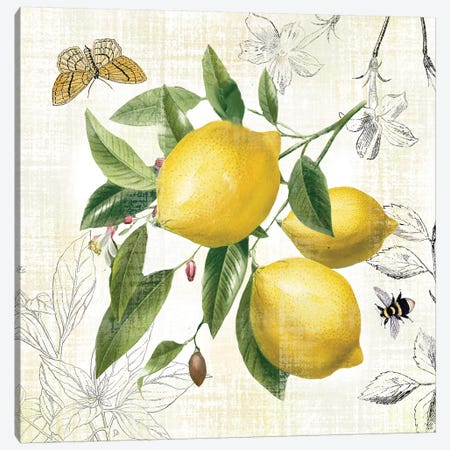 Linen Lemons II Canvas Print #NAN545} by Nan Canvas Art