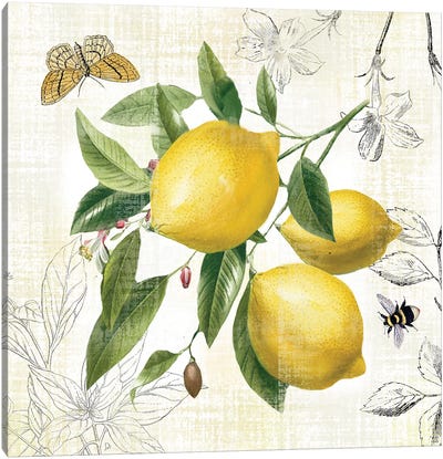 Linen Lemons II Canvas Art Print - Lemon & Lime Art