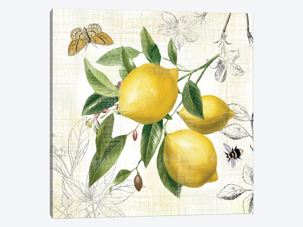 Linen Lemons II by Nan 1-piece Art Print