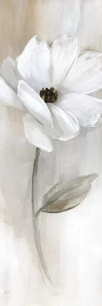 Large Modern Art - Canvas Prints: Sheer Elegance I by Nan