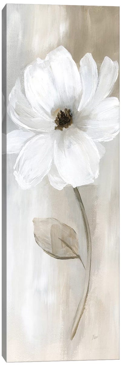 Sheer Elegance II Canvas Art Print - Botanical Still Life