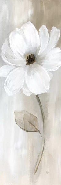 Botanical Still Life: Sheer Elegance II by Nan