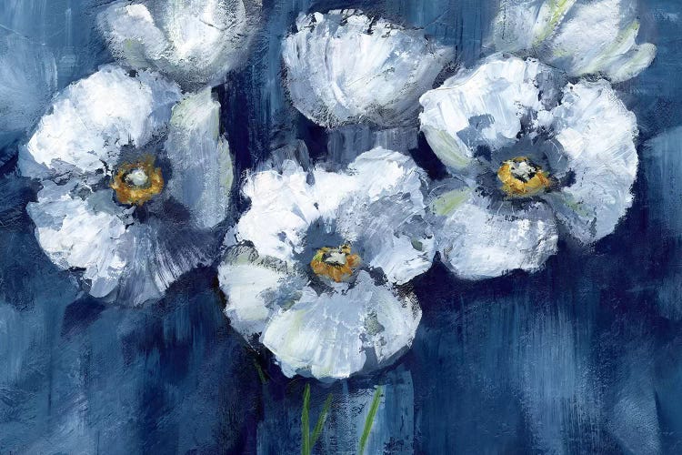 Blooming Poppies by Nan wall art