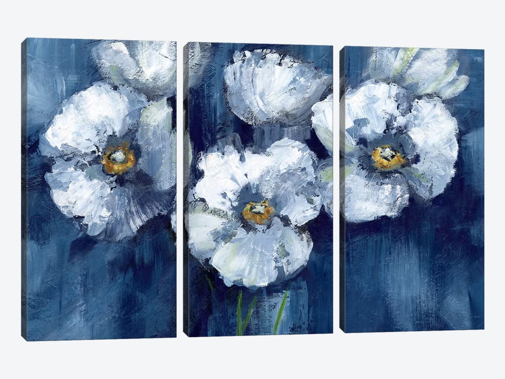 Blooming Poppies by Nan 3-piece Canvas Wall Art