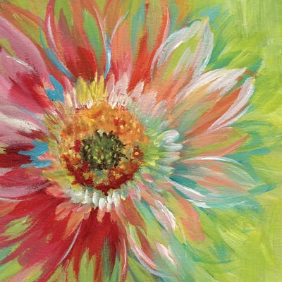 Bright Sunburst by Nan framed canvas print