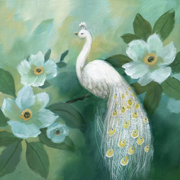 Nan: Proud Peacock by Nan