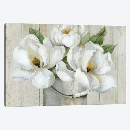 Shiplap Magnolias Canvas Print #NAN577} by Nan Art Print